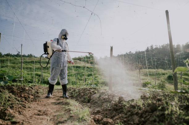 Best Best Pest Control Companies  in Valley Mills, TX