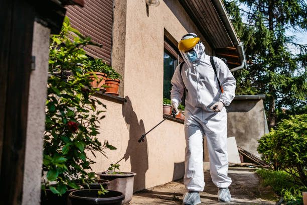 Best Pest Removal Services  in Valley Mills, TX