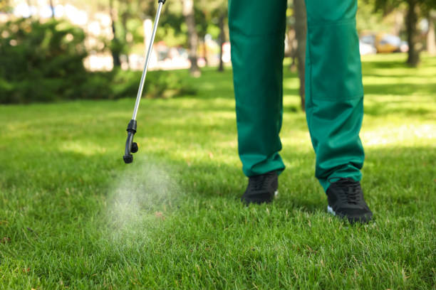 Best Mosquito Control Services  in Valley Mills, TX