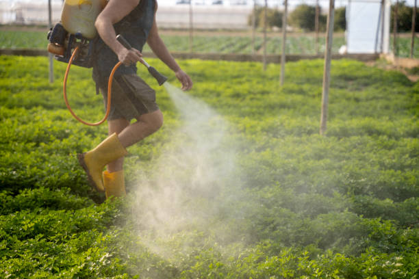 Best Residential Pest Control  in Valley Mills, TX